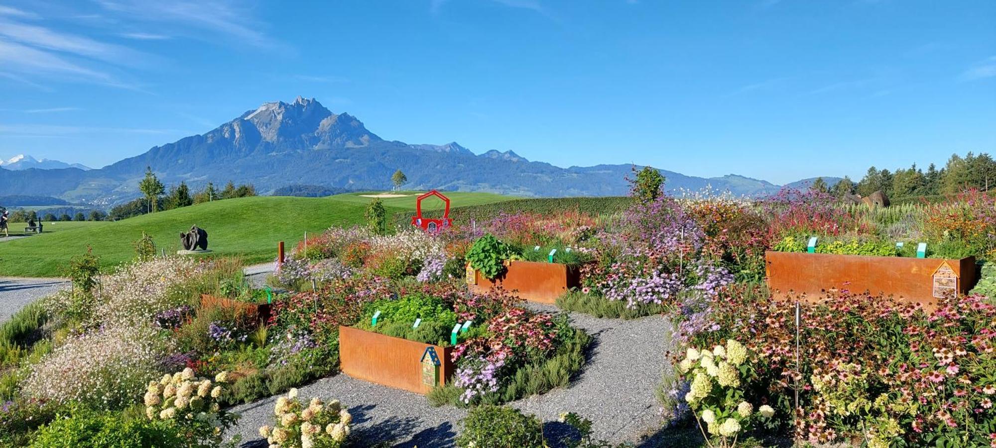 Badhof - Golfhotel Hotel Meggen
